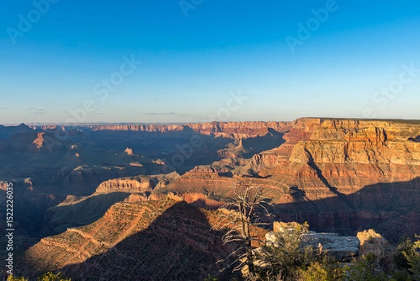 Obraz Breathtaking views of the Grand Canyon at sunset, highlighting dramatic cliffs, colorful rock layers, and soft golden light filtering through pine trees.
