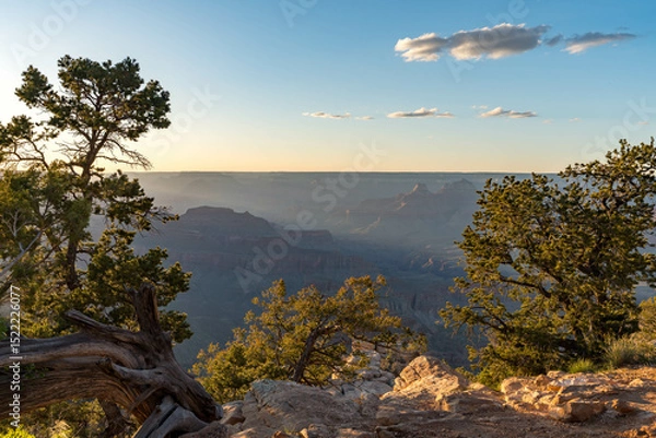 Obraz Golden sunset light illuminates the rugged cliffs and forested rim of the Grand Canyon, creating a dramatic scene of natural wonder and breathtaking vistas