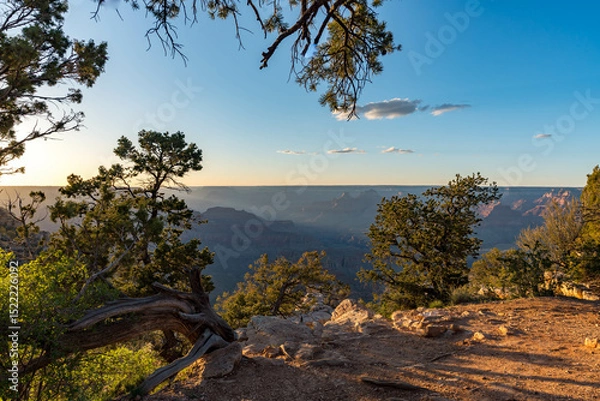 Obraz Golden sunset light illuminates the rugged cliffs and forested rim of the Grand Canyon, creating a dramatic scene of natural wonder and breathtaking vistas