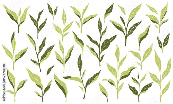 Obraz Leaf icon. Tea leaves. Green herb, nature simple design. Environmental tree on mint label. Healthy plant silhouette shape. ECO organic symbol. Different greenery, organic symbol. Vector isolated logo