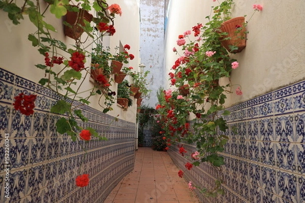 Obraz Flowerpots with blossoms in an alley in the Portuguese town of Silves, Algarve, Portugal  