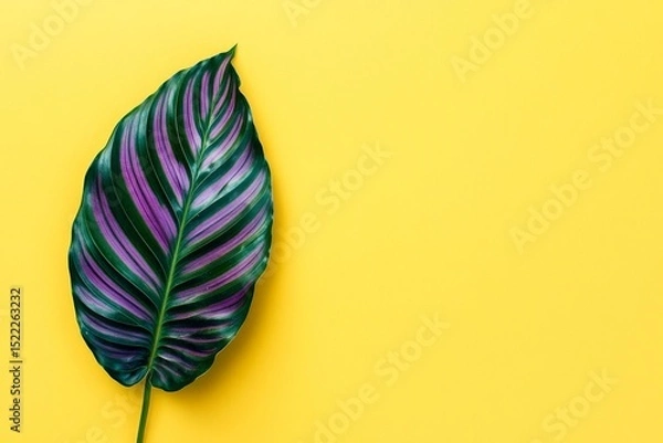 Obraz Vibrant leaf on a bright yellow background.