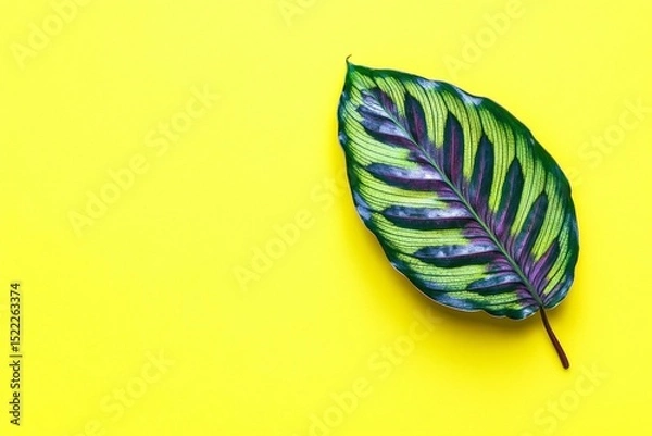 Obraz Vibrant leaf on a bright yellow background.
