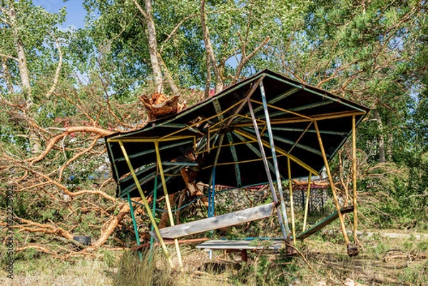 Obraz Damaged gazebo under fallen tree after summer hurricane in forest landscape