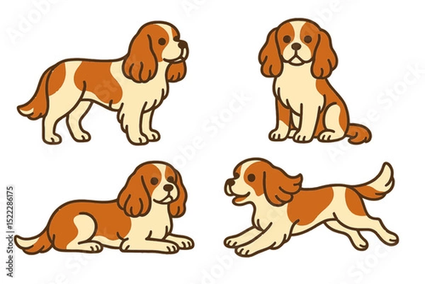 Fototapeta Cavalier King Charles Spaniel dogs in various poseson a transparent background 