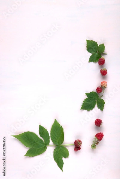 Obraz ラズベリーと葉のメッセージカード