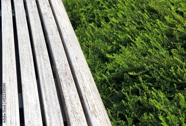 Obraz Classic long wooden chair in the garden