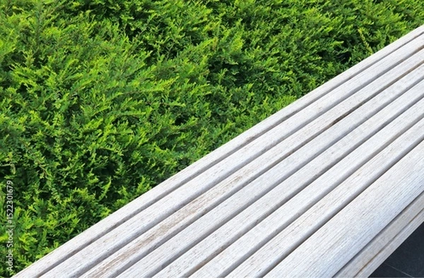 Obraz Classic long wooden chair in the garden