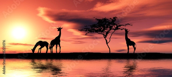 Obraz Rodzina żyraf.