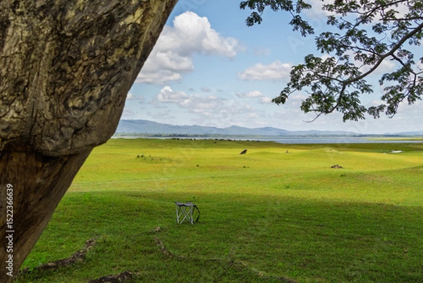Fototapeta Relaxing camping chair set under tree shade on a beautiful grassy meadow. Ideal for outdoor, travel, and nature-themed concepts. Peaceful, natural setting for lifestyle imagery.