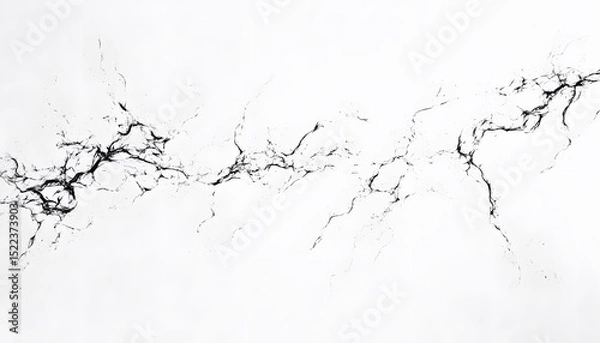 Fototapeta Abstract black lines on white background.