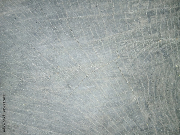 Fototapeta wooden texture background surface of a cut tree stump