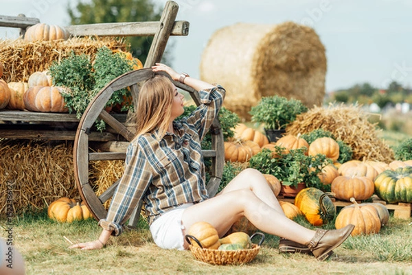 Fototapeta young woman stands at pumpkin festival, holding large orange and green pumpkin. She is surrounded by rows of pumpkins and a wooden display. The autumn farm setting captures the harvest season vibe.