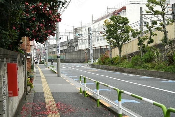 Fototapeta A quiet street in a Japanese neighborhood, lined with blooming camellia flowers and a green and white railing. In the distance, a train line runs parallel to the road, with of traditional.