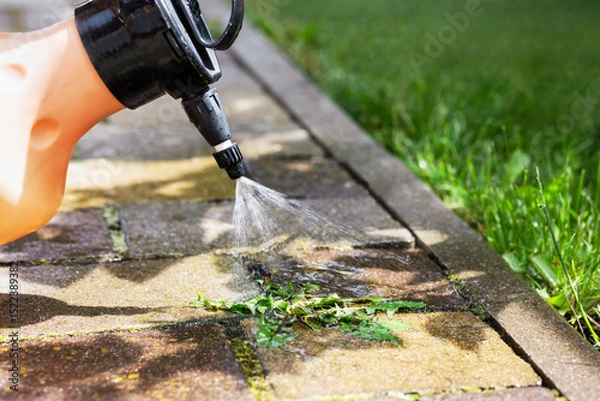Fototapeta Weed Killer Spray from Patio Paving. Spraying Weeds and Remove. Get Rid of Weeds in Paving Blocks. 