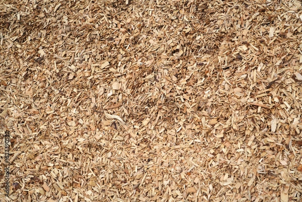 Fototapeta high angle view of mulch background in garden