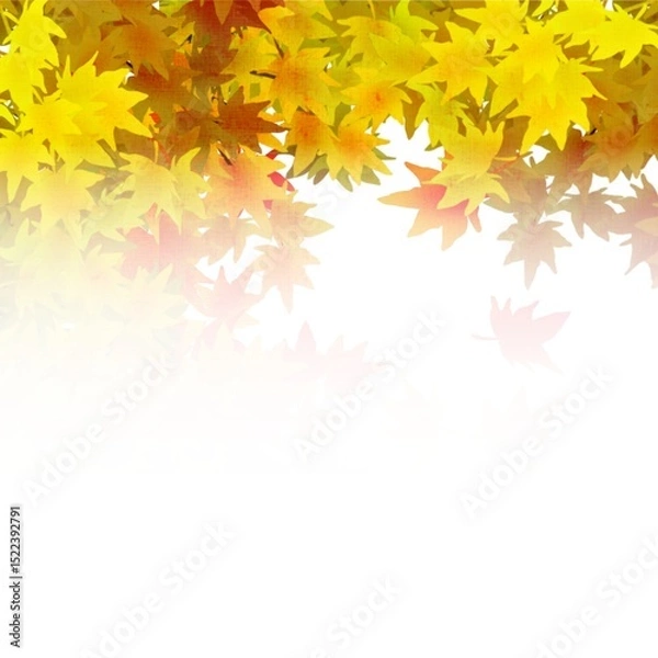 Obraz 紅葉の壁紙