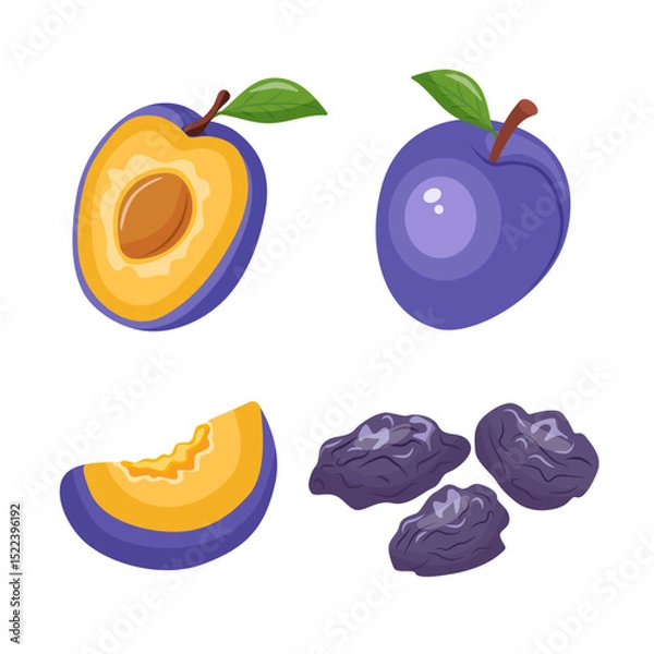 Fototapeta Fresh and dried plums set Prunes set icons vector on white background. Whole and half plum vector illustration
