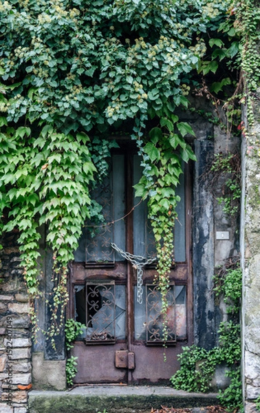 Fototapeta Overgrown Abandoned Door with Ivy and Chains