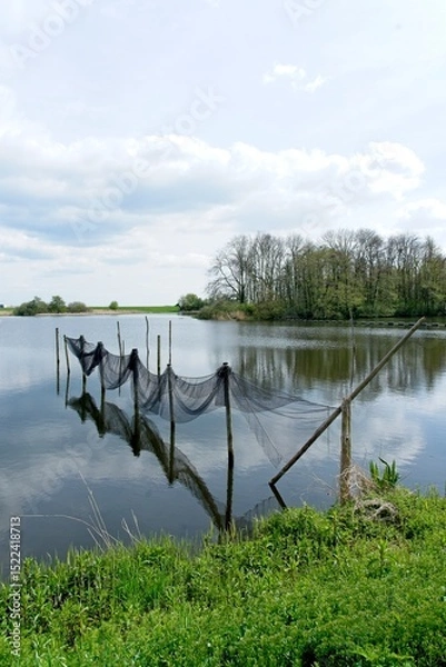 Fototapeta Fishing nets on poles for catching eel and other fish here in the province of Friesland in the North of the Netherlands