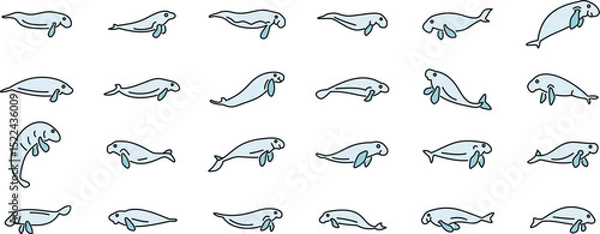 Fototapeta Set of dugong icons showing different swimming and floating positions, ideal for marine life projects