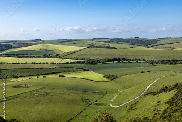 Obraz Looking out over green rolling hills in the South Downs, on a sunny early summer's day
