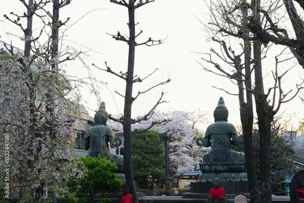 Fototapeta Two large Buddha statues seen from behind, framed by bare trees and delicate cherry blossoms. In the foreground, smaller Jizo statues  peaceful and spiritual atmosphere of this sacred space.