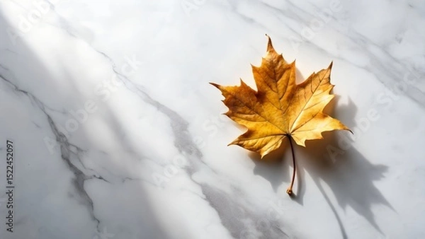 Fototapeta Single golden autumn leaf floating above white marble