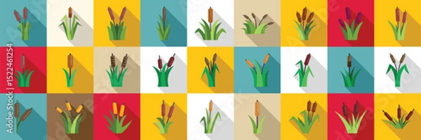 Fototapeta Grass reed icons set. Reed mace icons set showing aquatic grass growing in wetlands, nature plant for decoration