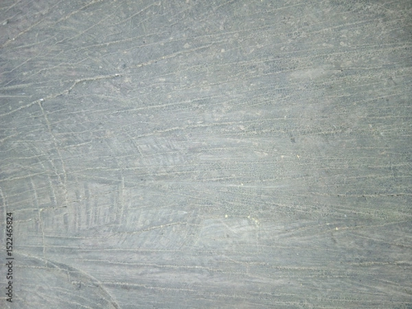 Fototapeta wooden texture background surface of a cut tree stump	