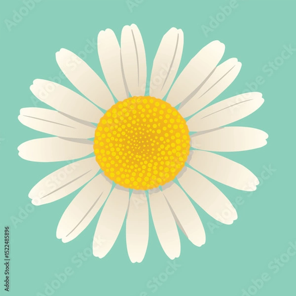 Obraz madeliefje.eps