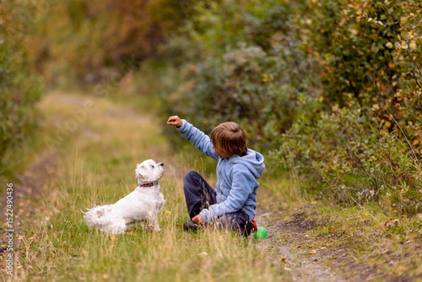 Obraz Cute little blond child, boy, training his little pet dog to obey orders, playing with him outdoors