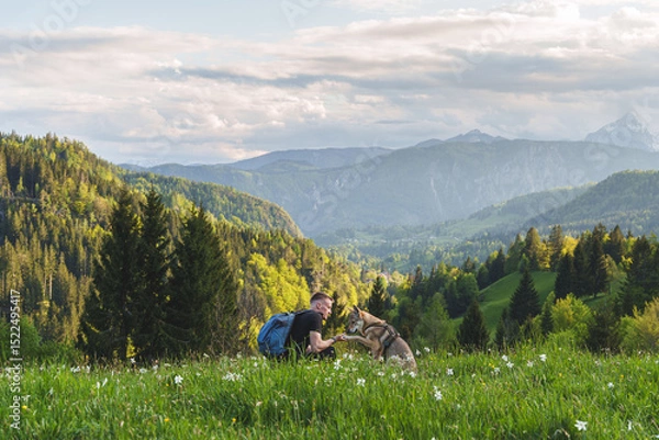Fototapeta Man hiking with dog in Slovenian Alps, sitting in wildflower meadow in Triglav National Park