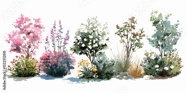 Fototapeta bush of flowers on white background. Bush tree flower of bougainvillea on isolated transparent background
