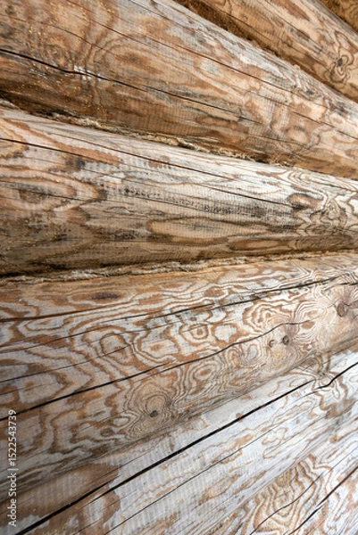 Obraz Wall of wooden logs with distinct patterns and textures, background photo