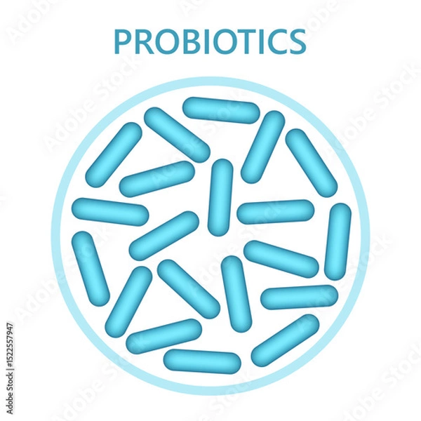Fototapeta Probiotics, microbiome flora, lactobacillus bacteria in circle.