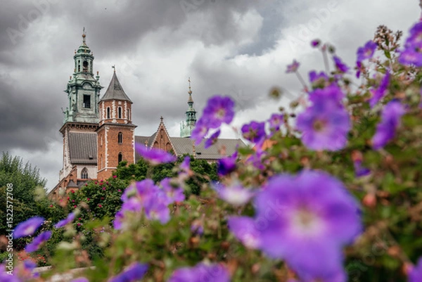 Fototapeta Enchanting View of Wawel Cathedral Through Purple Flowers