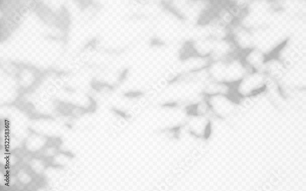 Fototapeta Shadow overlay from a tree branch isolated on a transparent background.