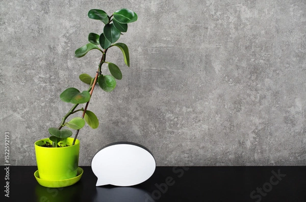 Fototapeta Background, ficus and speech bubble