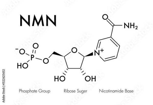 Fototapeta Molecular structure of NMN (Nicotinamide Mononucleotide) showing phosphate group, ribose sugar, and nicotinamide base