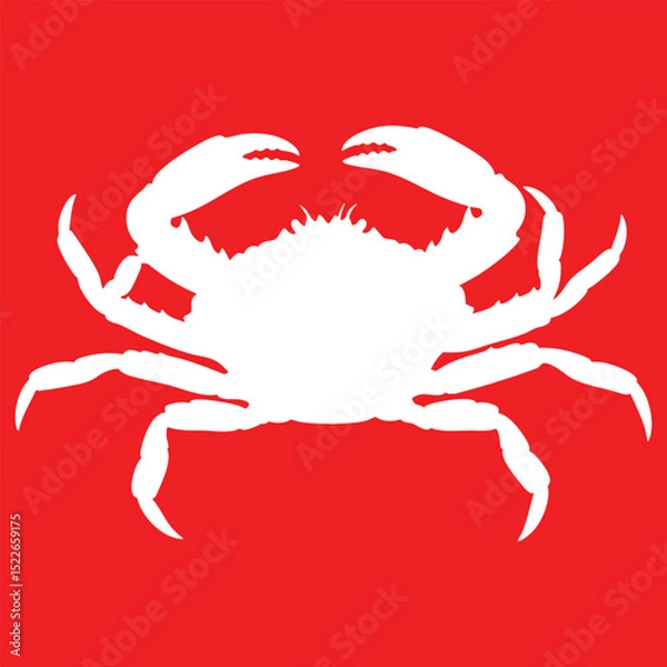 Fototapeta Vector Illustration of a White Marine Crab Against a Vivid Red