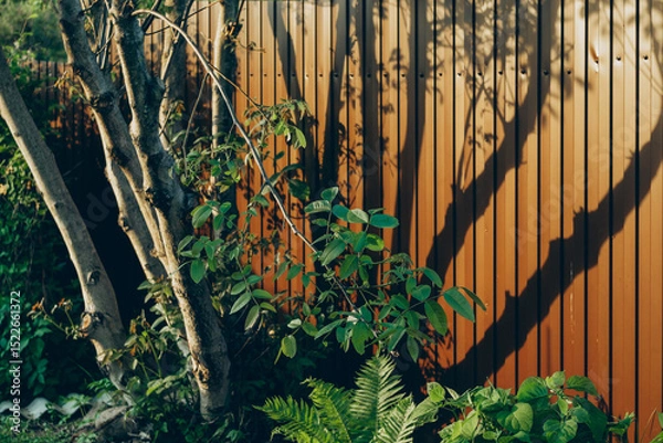 Fototapeta tree shadow on brown metal fence with green foliage in summer garden