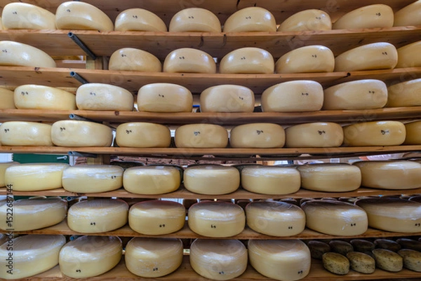 Obraz cheese wheels in ripening storage