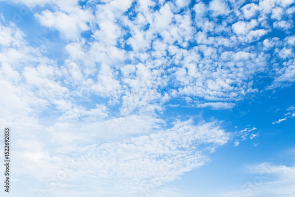 Fototapeta 6月の空　朝の青空に白い雲15