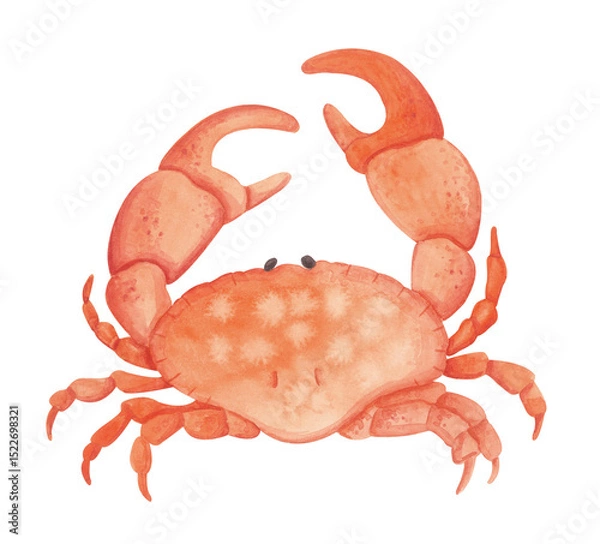 Fototapeta Cute red crab drawn with watercolor in naive, cartoon style. Perfect for children's designs, summer themes, sea life collections, and nautical illustrations. Isolated on a white background, great for