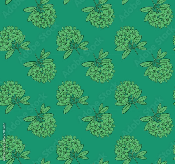 Obraz Seamless vector pattern with rhododendron flowers