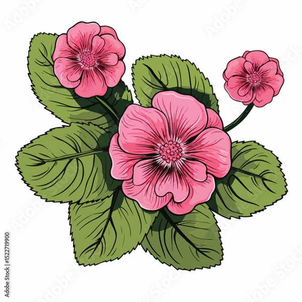 Fototapeta Botanical illustration of a round pink flower with two green leaves in nature setting