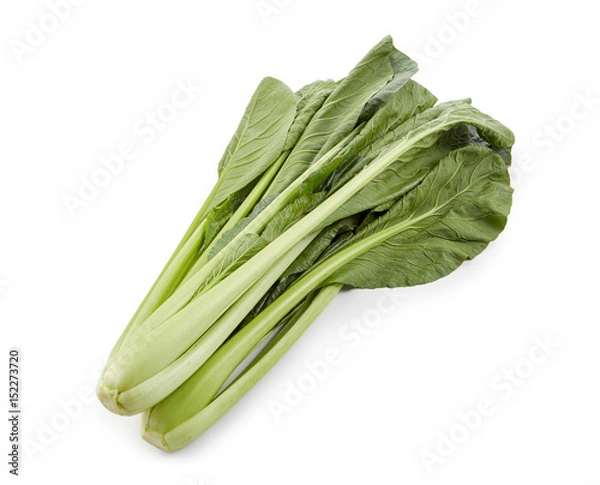 Obraz 小松菜　(影イキ、背景白飛ばし)