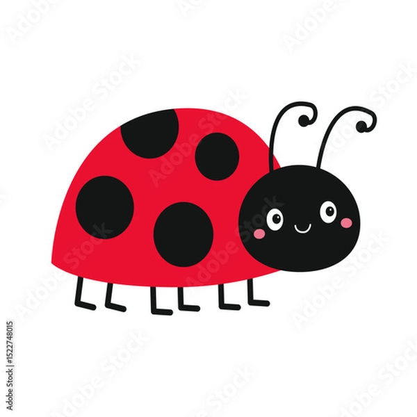 Fototapeta Cute lady bug, lady bird icon. Cute cartoon kawaii funny baby character. Black and red insect. Card Sticker print. Happy Valentines Day. Childish style. Flat design. White background. Isolated. Vector