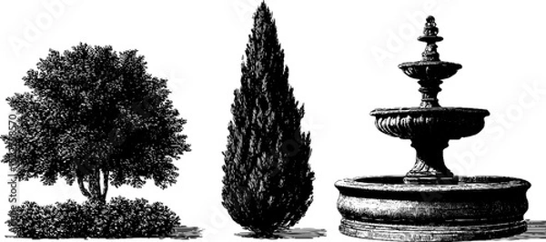Fototapeta French provincial garden elements: engraved illustrations of trees and fountain design